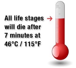 Bed Bug Thermal Death Thermometer